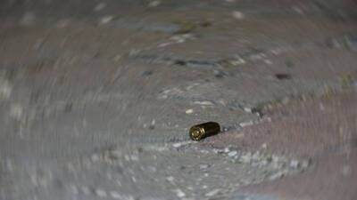 Miras kavgasında ağabeyini öldürdü