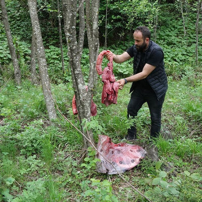 Çareyi 'sakatat'ta buldular!