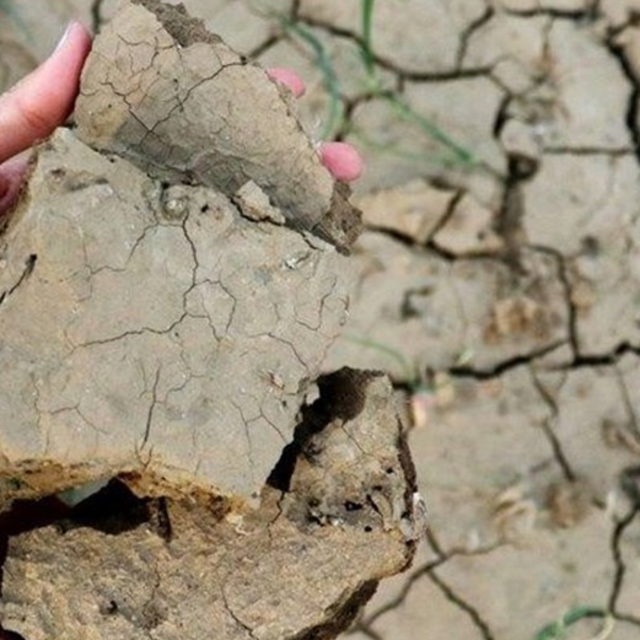 Kuraklıktan etkilenen il sayısı 41'e çıktı