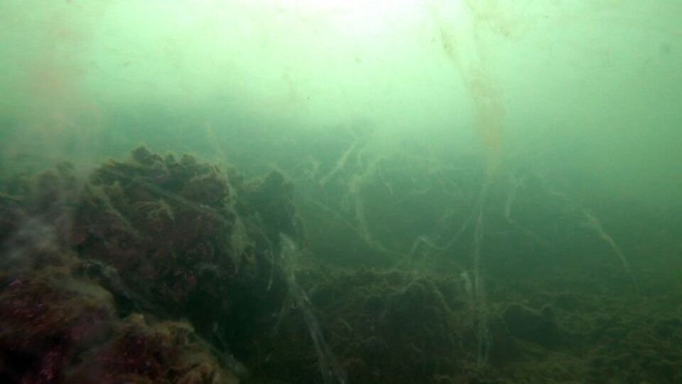 "Ölü taklidi yapmamıza gerek yok, kendi kendine geçmeyecek"