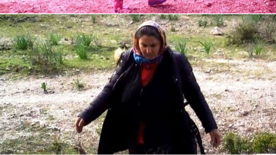 Fotokapanı gördü! Sonrası akılalmaz!