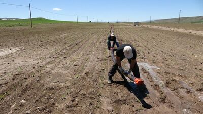 O ilde kuraklık afet gibi!