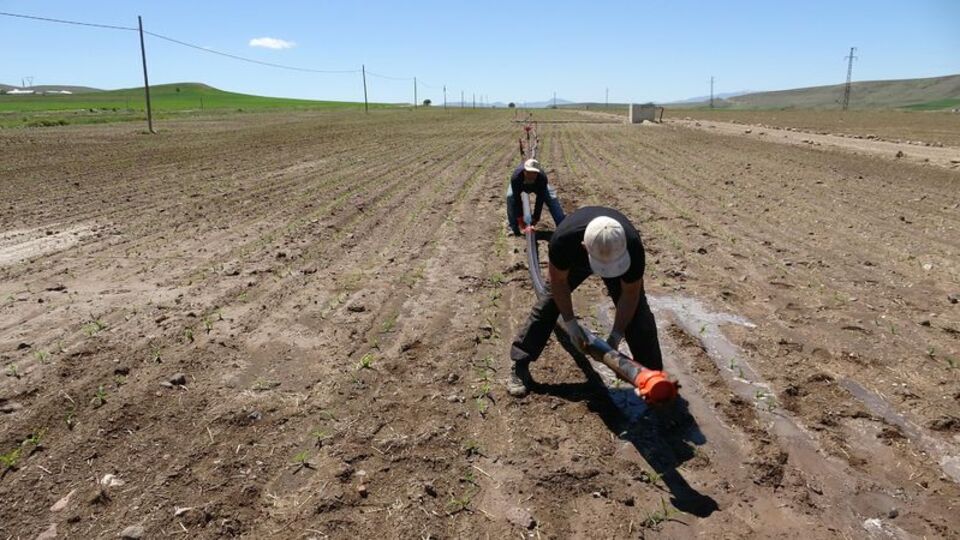 O ilde kuraklık afet gibi!