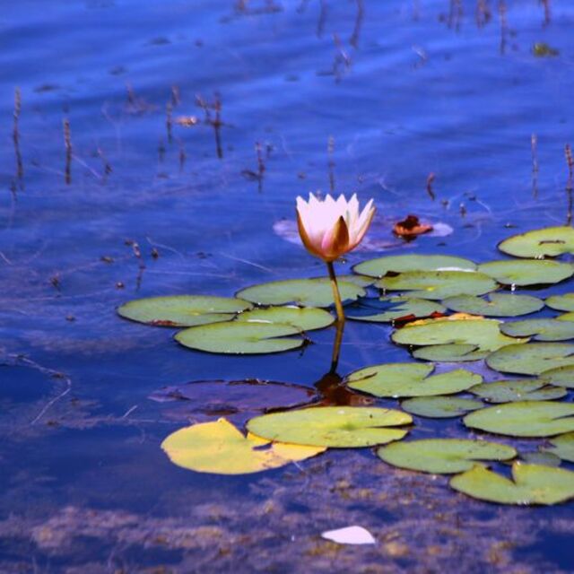 Koparan yandı! 160 bin liraya kadar cezası var