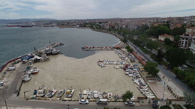 Müsilaja karşı eylem planı 6 Haziran'da