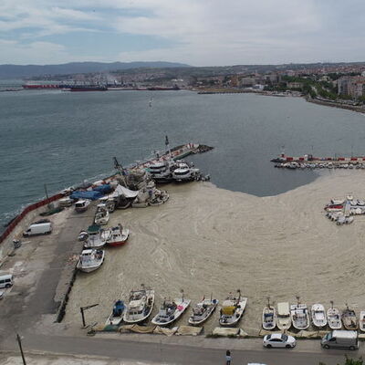 Müsilaja karşı eylem planı 6 Haziran'da