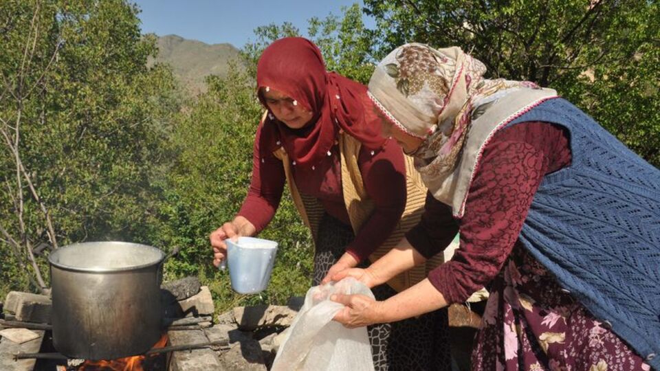 Gümüşhane'nin 'deleme peyniri' tescillendi