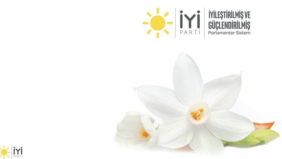 İYİ Parti'nin önerisindeki 'nergis'in sırrı