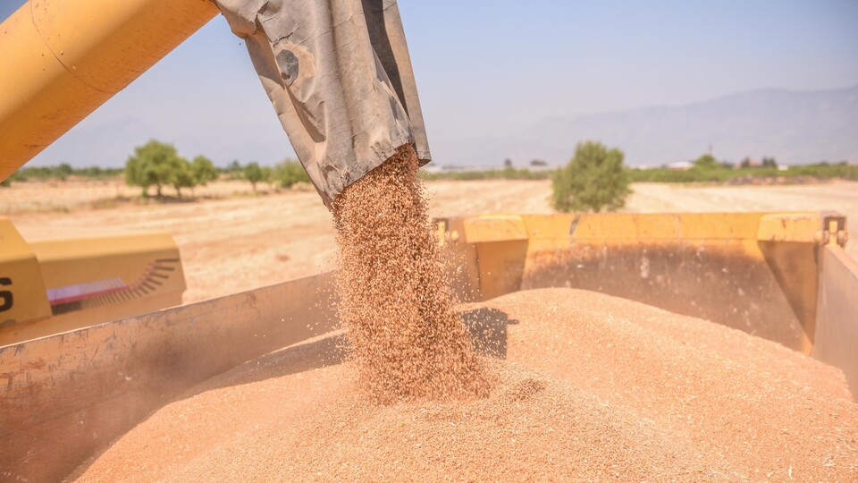 TMO'dan spekülatif fiyat hamlesi