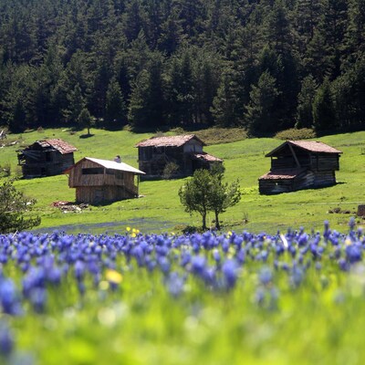 Çivisiz yaylaları büyülüyor