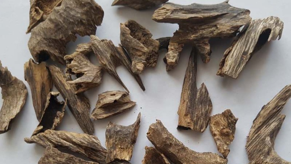 Udi Hindi Yağı nedir?