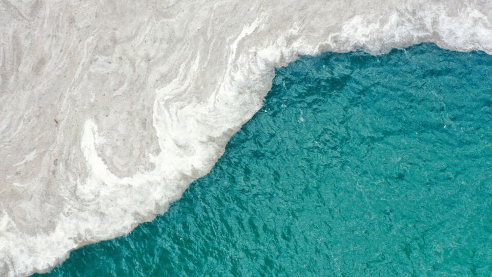 Müsilaj için eylem planı hazırlanacak