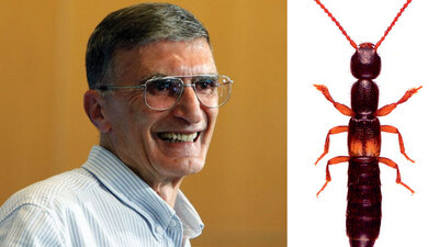 İç Anadolu'da keşfedildi... İsmi 'azizsancari'