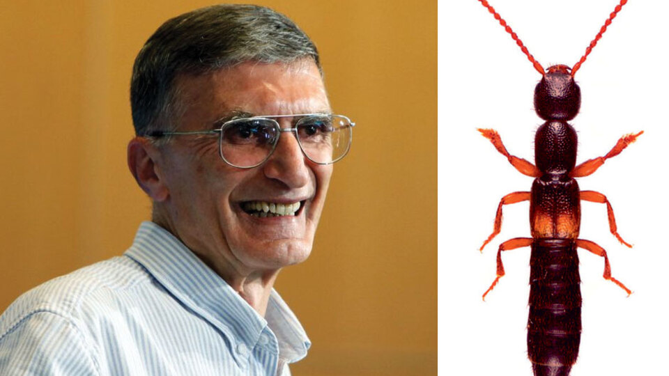 İç Anadolu'da keşfedildi... İsmi 'azizsancari'