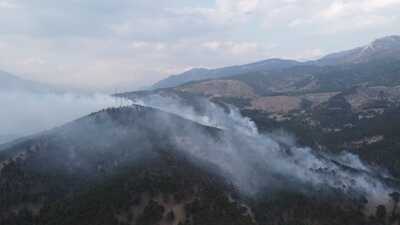 Adana'da korkutan orman yangını!
