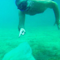 "Maalesef salya buraya kadar geldi!"