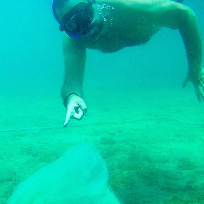 "Maalesef salya buraya kadar geldi!"