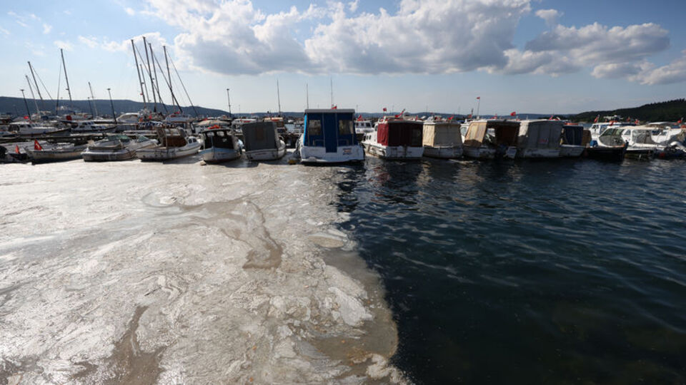 Uzmanından flaş açıklama! "Marmara'yı ağır yaraladık!"
