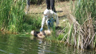 Baraj kenarında dehşet!