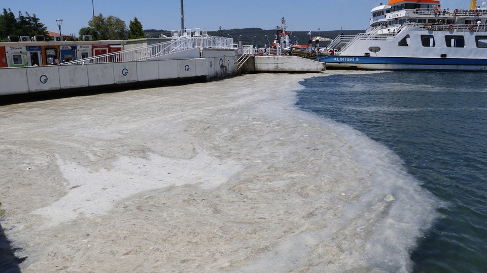 İşte Marmara'nın kurtuluş reçetesi!