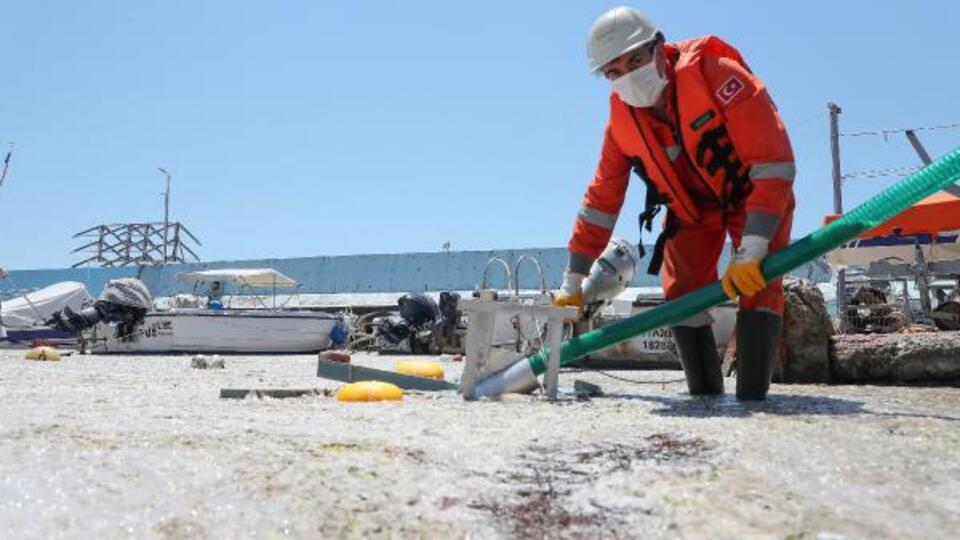 Deniz salyası temizliği başladı!