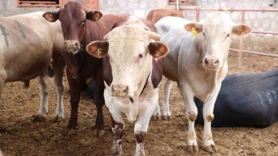 2021 Kurban Bayramı ne zaman?