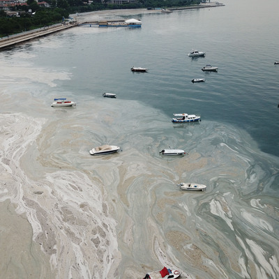 Kâbustan yeni görüntü!