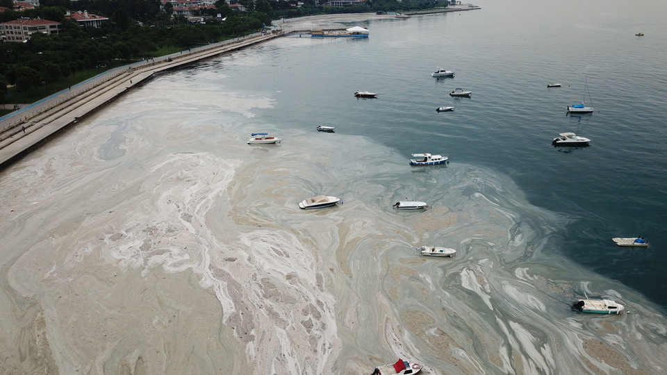 Kâbustan yeni görüntü!