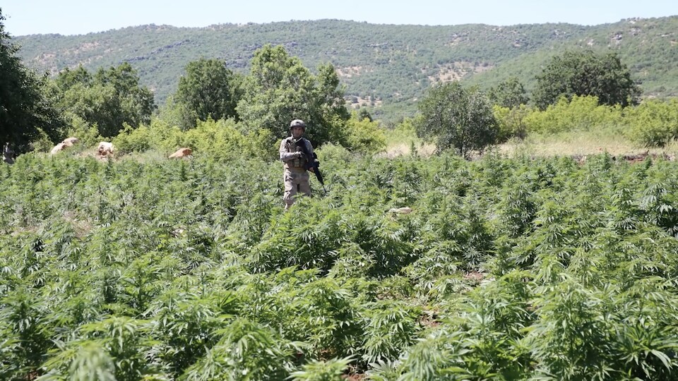 Diyarbakır'da büyük uyuşturucu operasyonu!