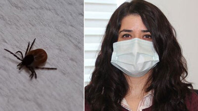 Bunun aşısı yok! Elle dokunmayın öldürüyor!