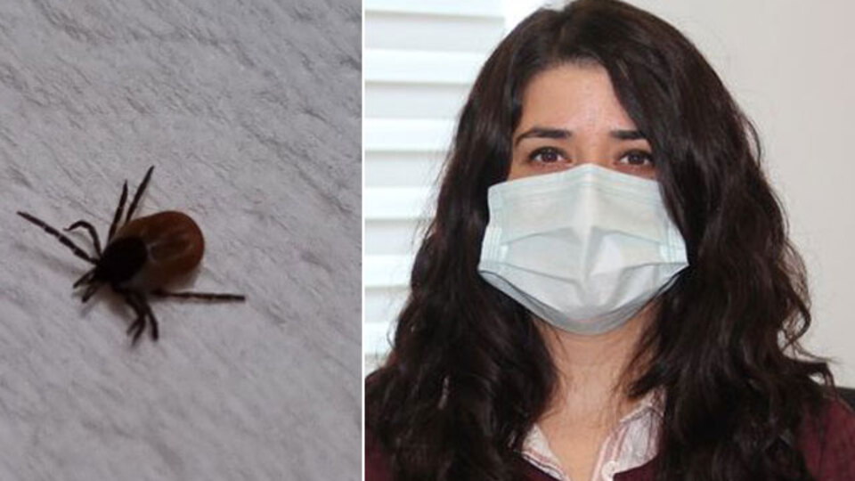 Bunun aşısı yok! Elle dokunmayın öldürüyor!