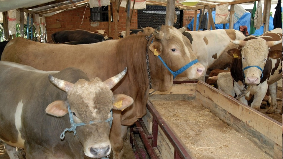 Kurban Bayramı ne zaman?