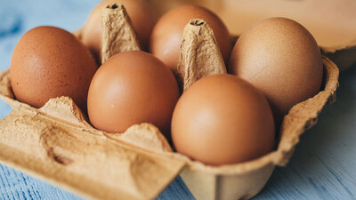 Yumurta üretiminde düşüş