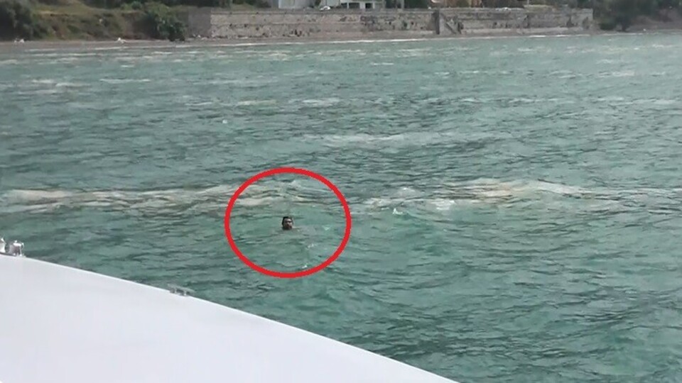 Müsilajların arasında can pazarı!