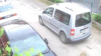 Köpeği ezip yoluna devam etti