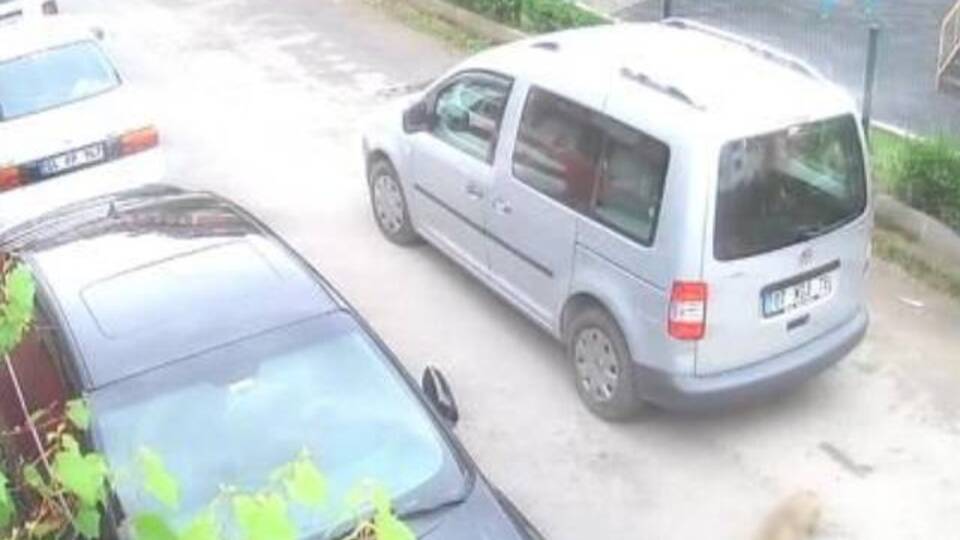 Köpeği ezip yoluna devam etti