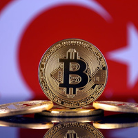 Türkler Bitcoin'den 300 milyon dolar kazandı