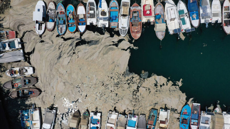 Marmara'dan iki günde 392 metreküp müsilaj toplandı