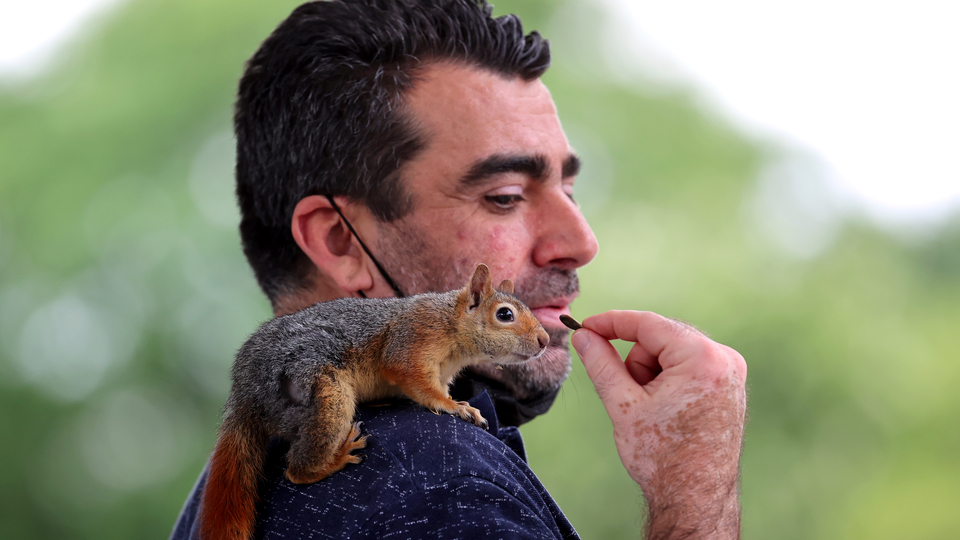 Omzunda baba yadigarı sincapla İstanbul'u geziyor