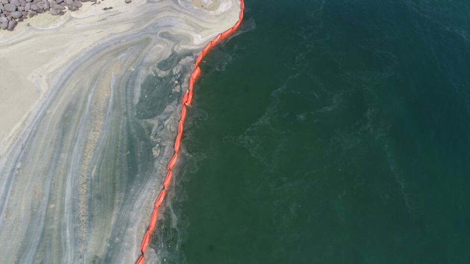 TBMM'de Müsilaj Araştırma Komisyonu kuruldu