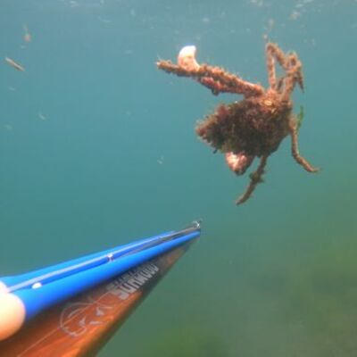 Deniz altındaki tahribat görüntülendi!