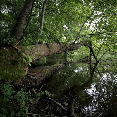 İstanbul'un yanı başındaki saklı cennet