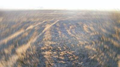 Tarlada çalışan çocukları yıldırım çarptı