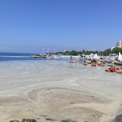 Caddebostan'da müsilaj yoğunluğu arttı