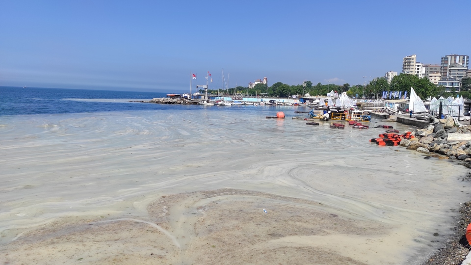 Caddebostan'da müsilaj yoğunluğu arttı