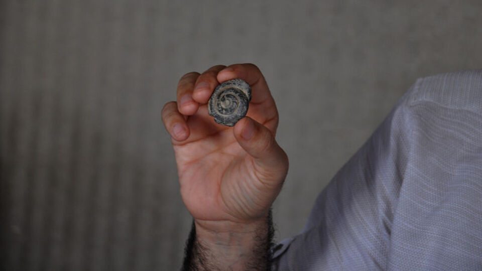 Yol genişletme çalışmasında bulundu! 57 milyon yıllık...