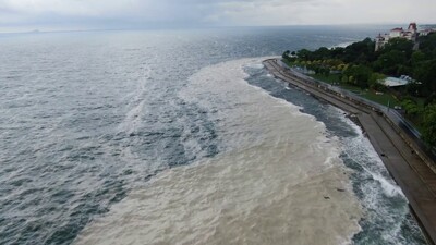 Müsilaj rüzgarla kıyıya sürüklendi