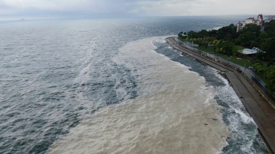 Müsilaj rüzgarla kıyıya sürüklendi