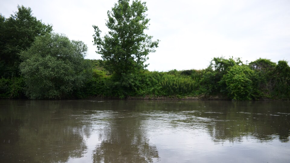 Nilüfer Çayı'nın rengi hakkında önemli tespit!