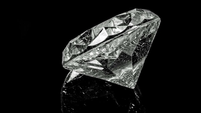 Dünyanın en büyük 3. elması bulundu!